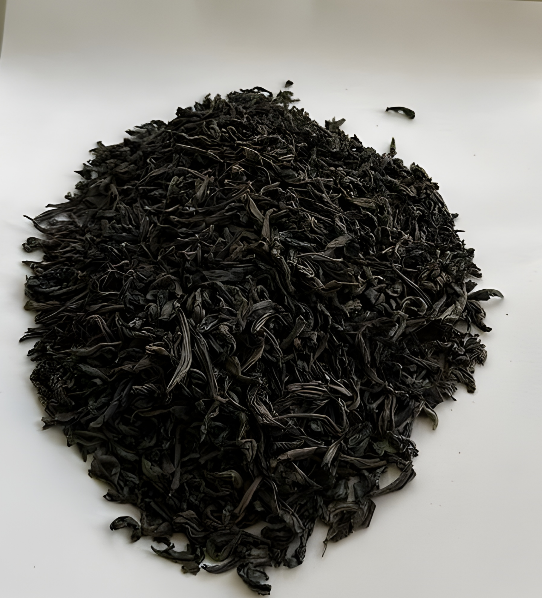 ۲۰۲۵۰۷۲۳_۱۴۲۹۴۲